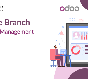 Odoo - Multi Branch With Single Company